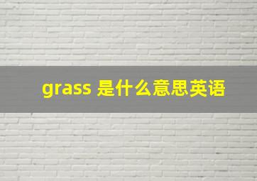 grass 是什么意思英语